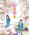 Kimi ni Todoke (Sawako)