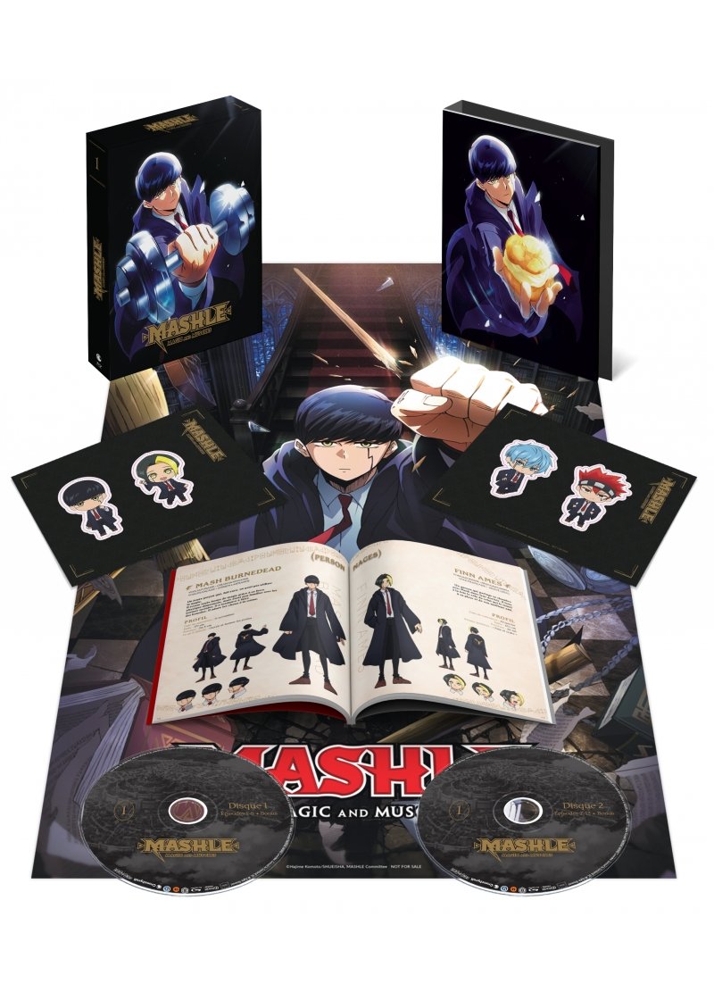 IMAGE 2 : Mashle - Saison 1 - Coffret Blu-ray