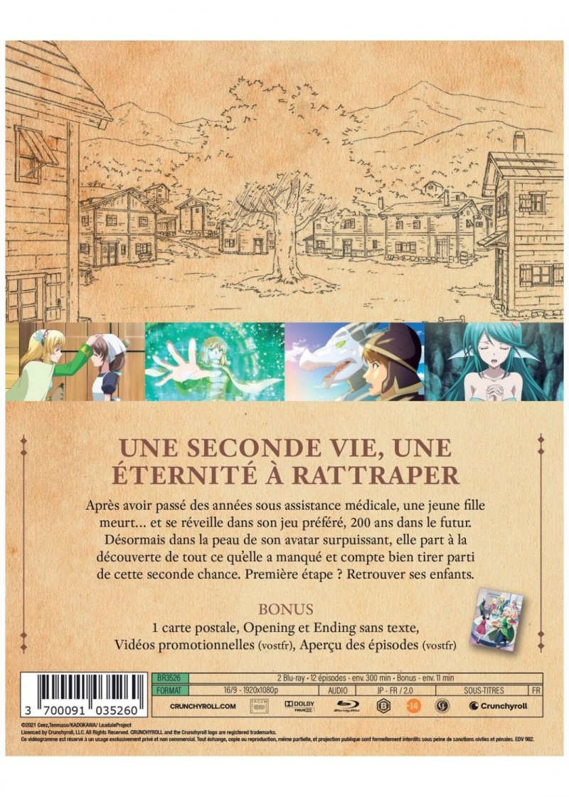 IMAGE 3 : In the Land of Leadale - Blu-ray