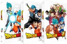 Lançamento do DVD de Dragon Ball Super: Broly deixa fãs revoltados com uma  promessa não cumprida - Critical Hits